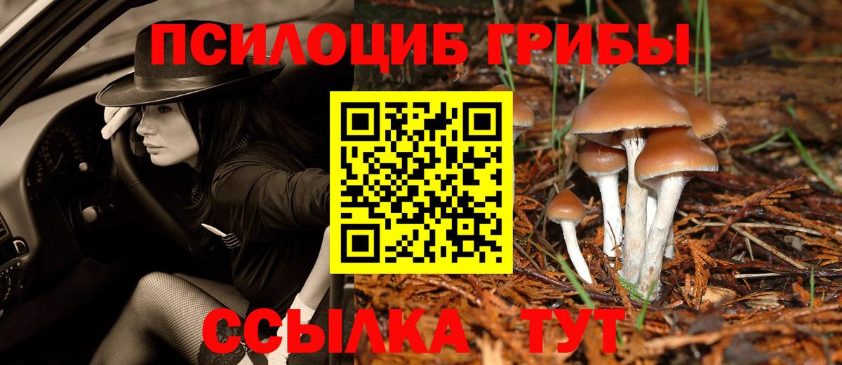 Галлюциногенные грибы ЛСД  Вход с VPN  Десногорск 